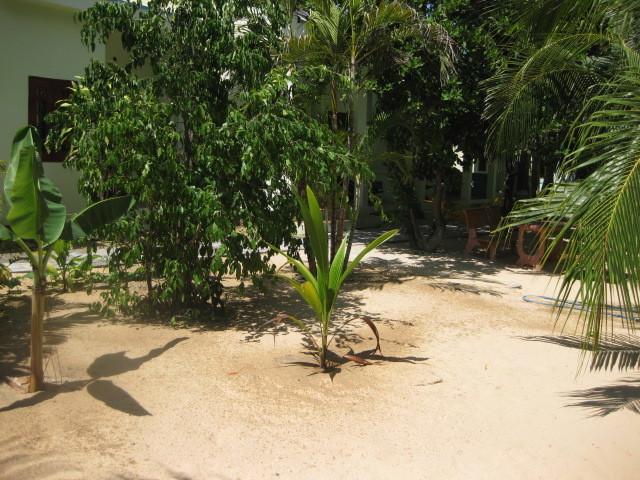 Cocosand Hotel Phan Thiet Luaran gambar