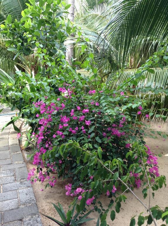 Cocosand Hotel Phan Thiet Luaran gambar