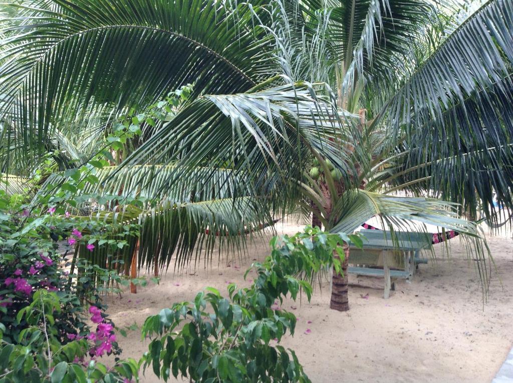 Cocosand Hotel Phan Thiet Luaran gambar