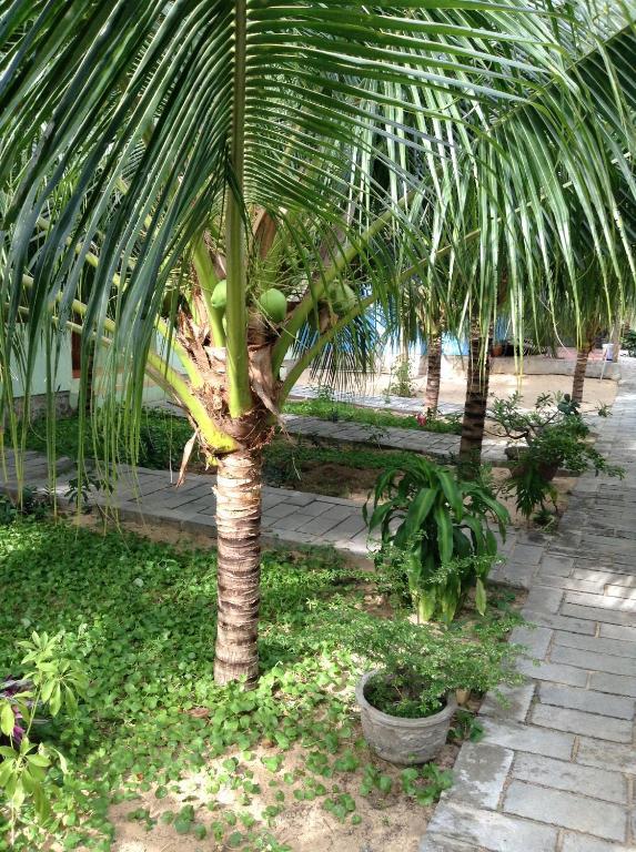 Cocosand Hotel Phan Thiet Luaran gambar