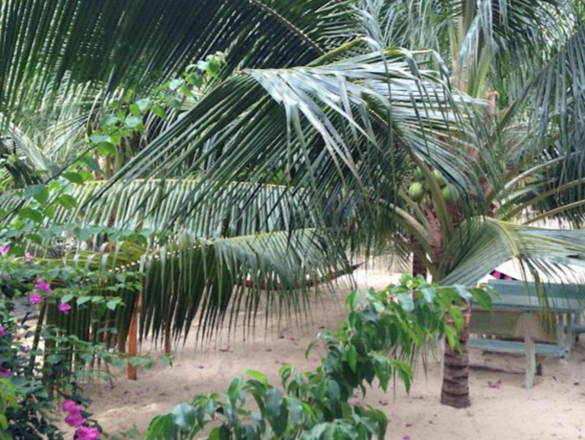 Cocosand Hotel Phan Thiet Luaran gambar